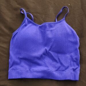 Vibrant Blue Ribbed Crop Top